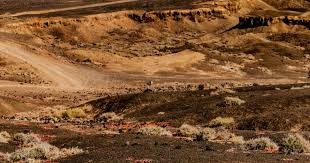 CBA超级外援指着裁判鼻子怒喷，多次被纵容不知悔改